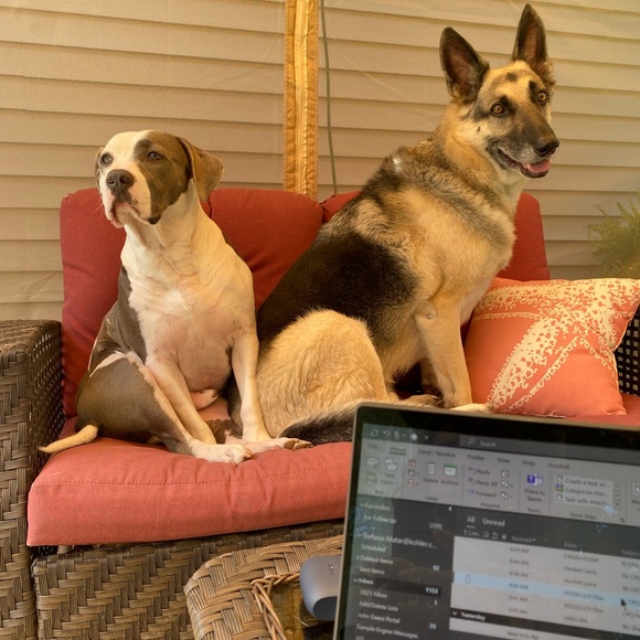 Live Show Listing! - Picture 5 of 6